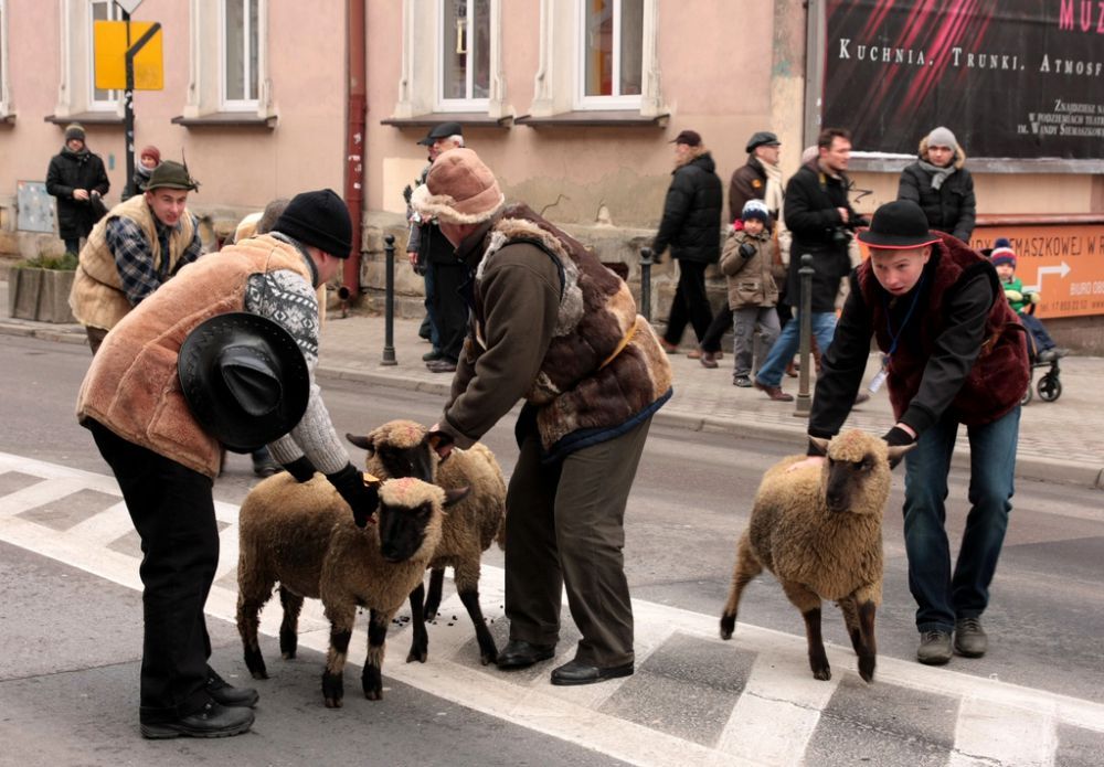 Orszak Trzech Króli w Rzeszowie