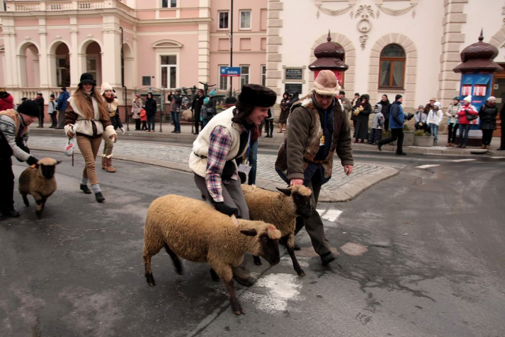 Orszak Trzech Króli w Rzeszowie