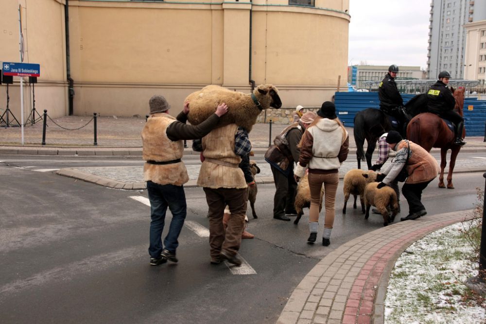 Orszak Trzech Króli w Rzeszowie