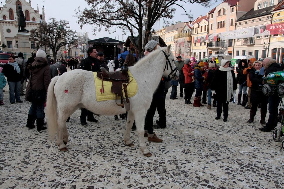 WOŚP Rzeszów 2013 