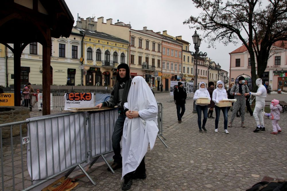  Festiwal Biegowy Forum Ekonomicznego Rzeszów 2013.