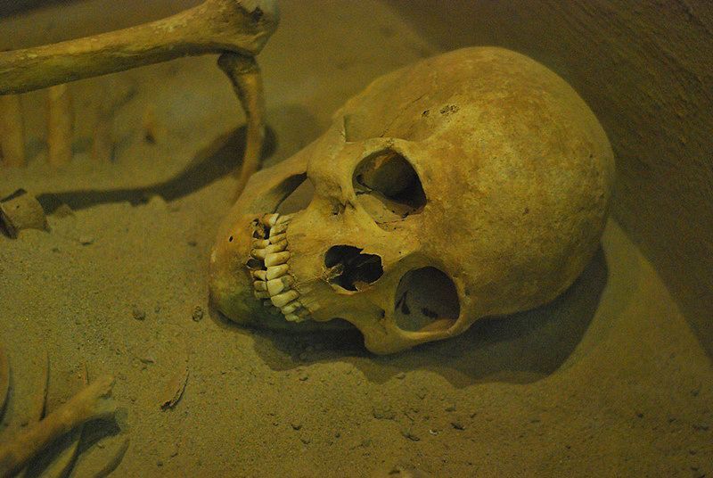 II Konwent Historyczny w Rzeszowie