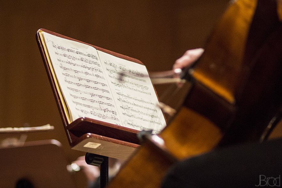 Koncert symfoniczny w Filharmonii Podkarpackiej - 31.01.2014