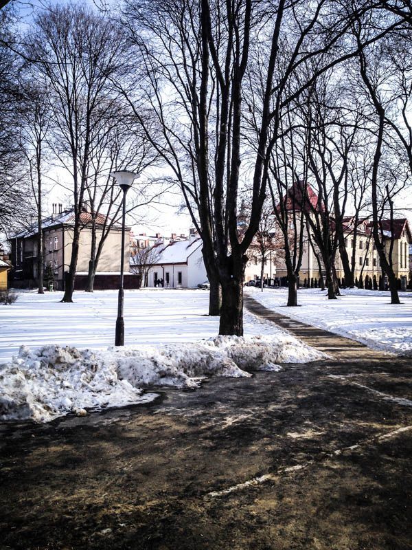 Park przy ul. Dąbrowskiego - Rzeszów 2014