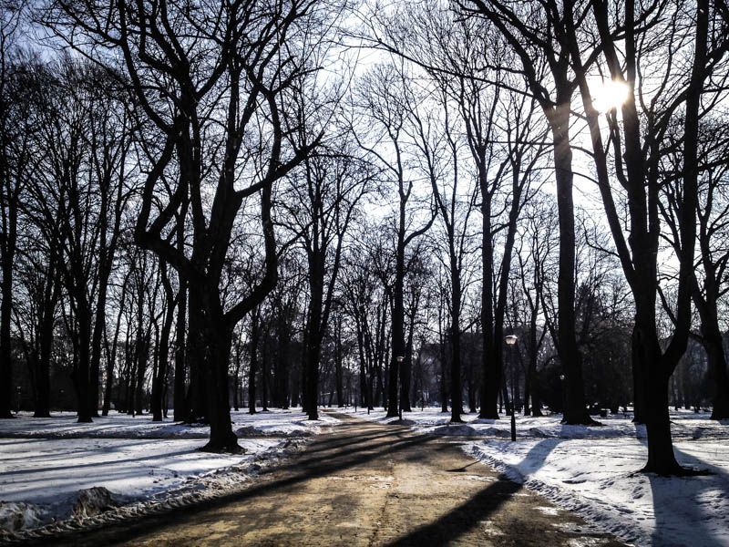 Park przy ul. Dąbrowskiego - Rzeszów 2014