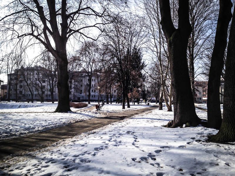 Park przy ul. Dąbrowskiego - Rzeszów 2014