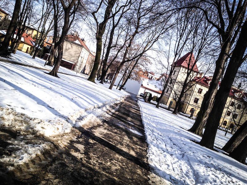 Park przy ul. Dąbrowskiego - Rzeszów 2014