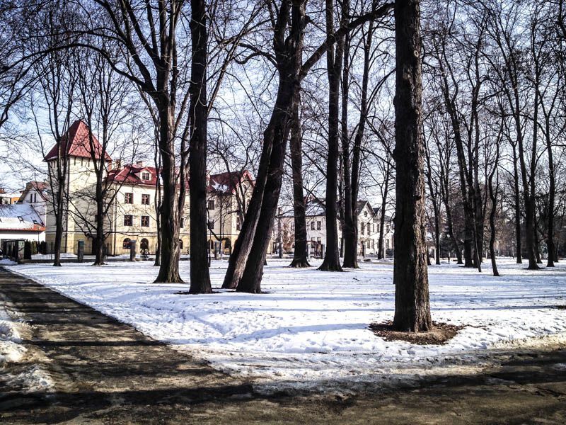Park przy ul. Dąbrowskiego - Rzeszów 2014