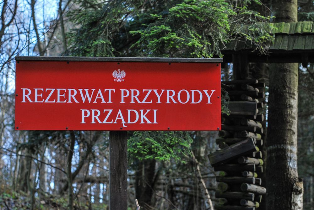 Prządki, Zamek w Odrzykoniu