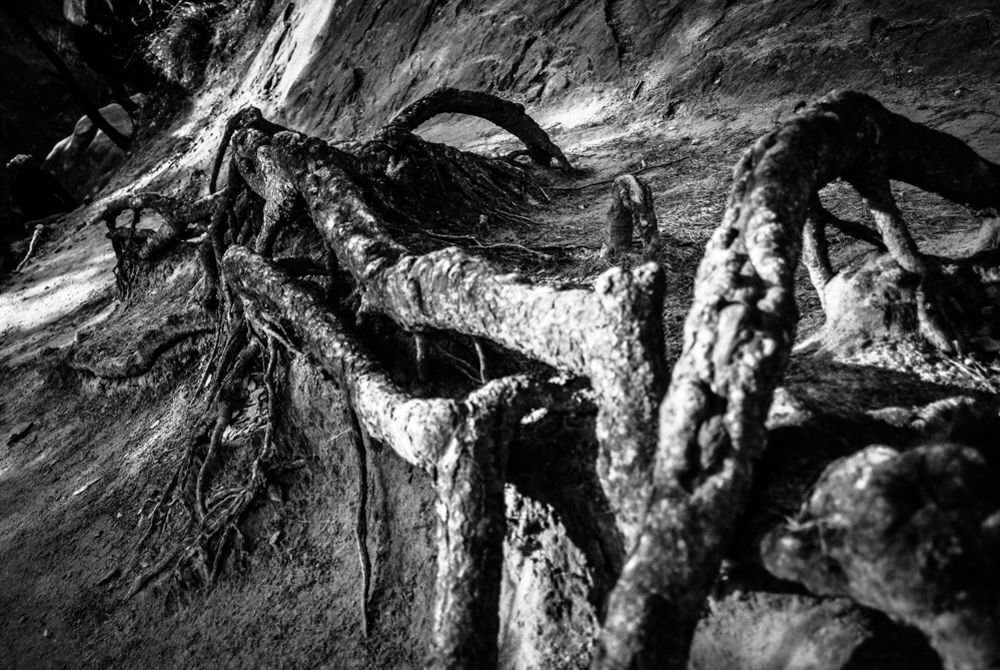 Prządki, Zamek w Odrzykoniu