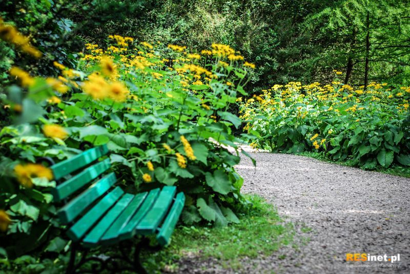 Podkarpacie: Arboretum w Bolestraszycach