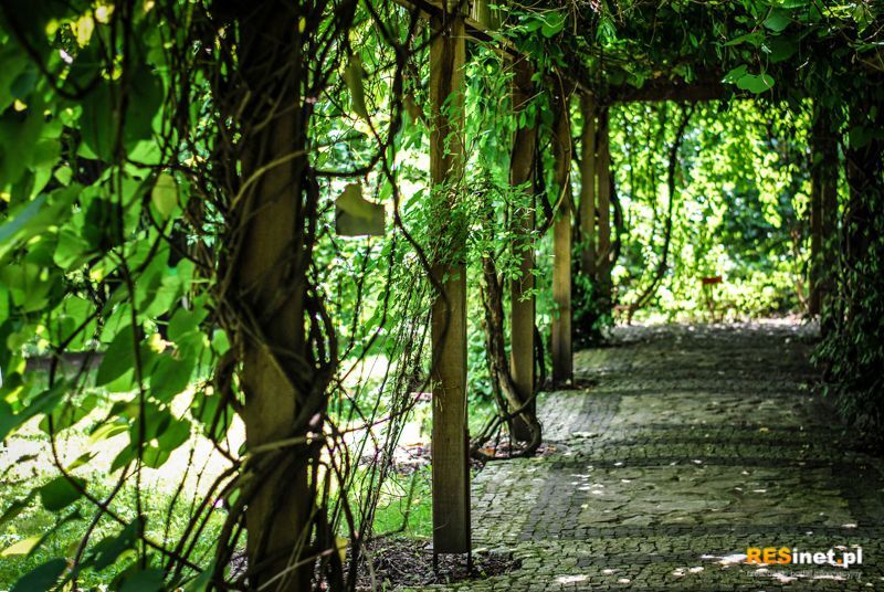 Podkarpacie: Arboretum w Bolestraszycach