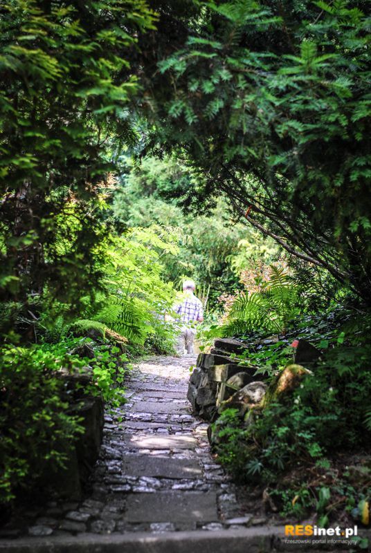 Podkarpacie: Arboretum w Bolestraszycach