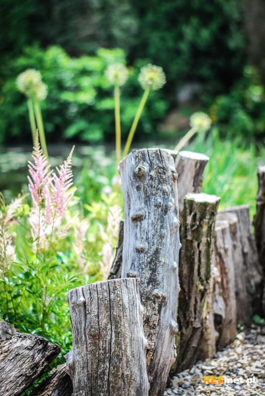 Podkarpacie: Arboretum w Bolestraszycach