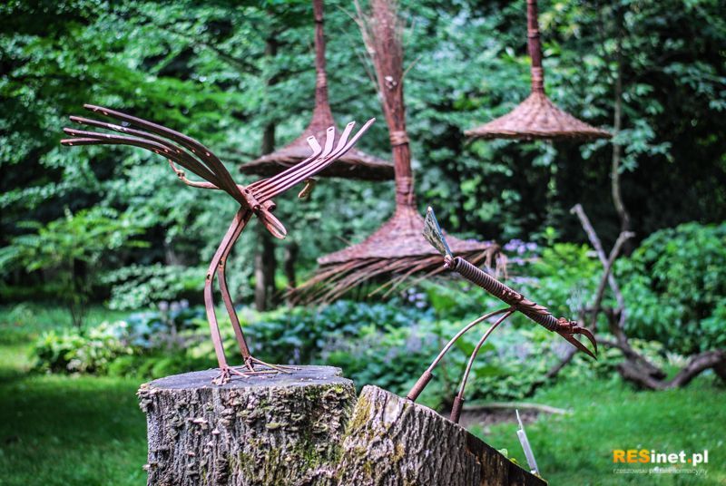 Podkarpacie: Arboretum w Bolestraszycach