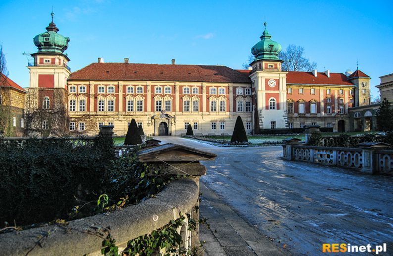 Park zamkowy w Łańcucie - styczeń 2015