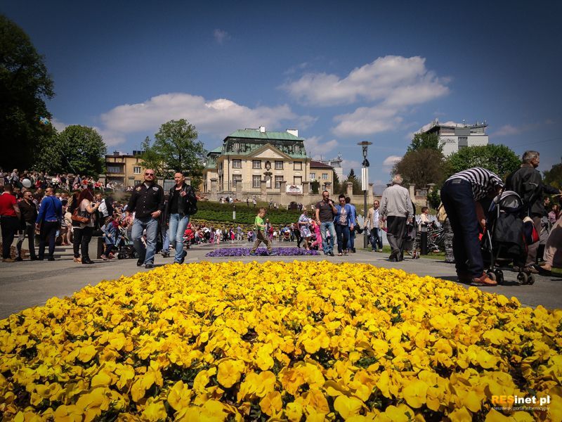 Święto Paniagi 2015