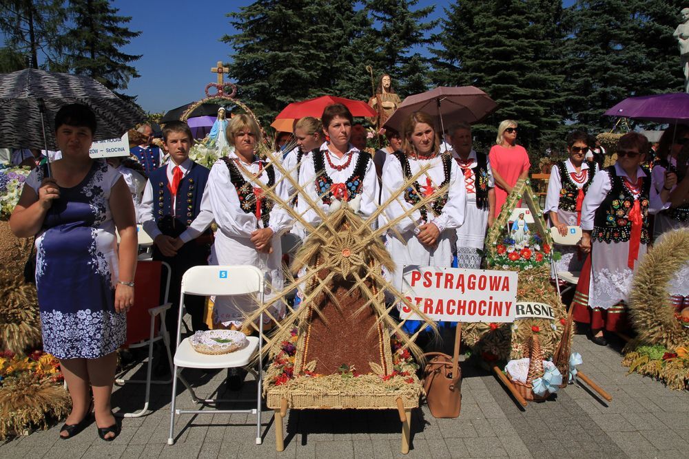 Dożynki diecezjalne w katedrze rzeszowskiej 