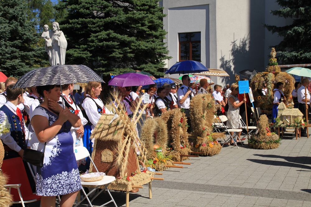 Dożynki diecezjalne w katedrze rzeszowskiej 