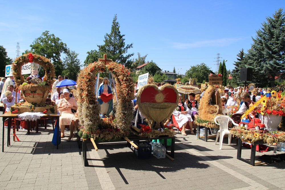 Dożynki diecezjalne w katedrze rzeszowskiej 