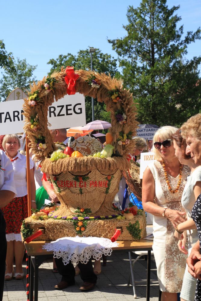 Dożynki diecezjalne w katedrze rzeszowskiej 