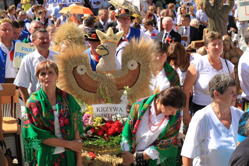 Dożynki diecezjalne w katedrze rzeszowskiej 