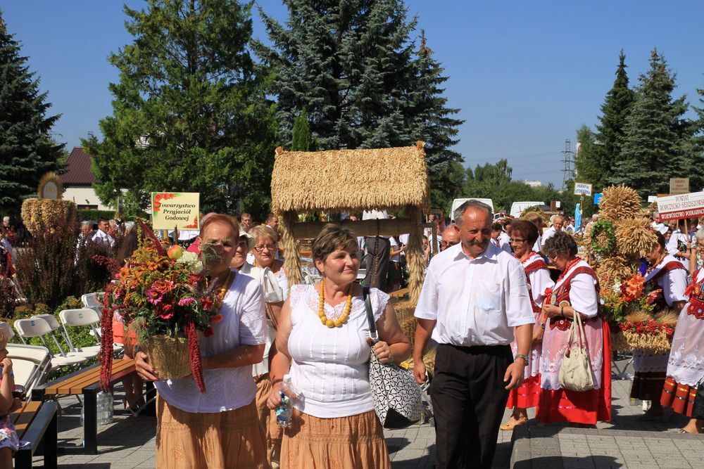 Dożynki diecezjalne w katedrze rzeszowskiej 