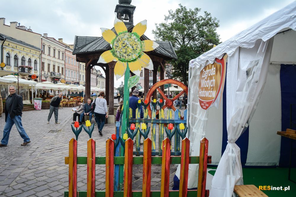 Świętomięs Polski 2015