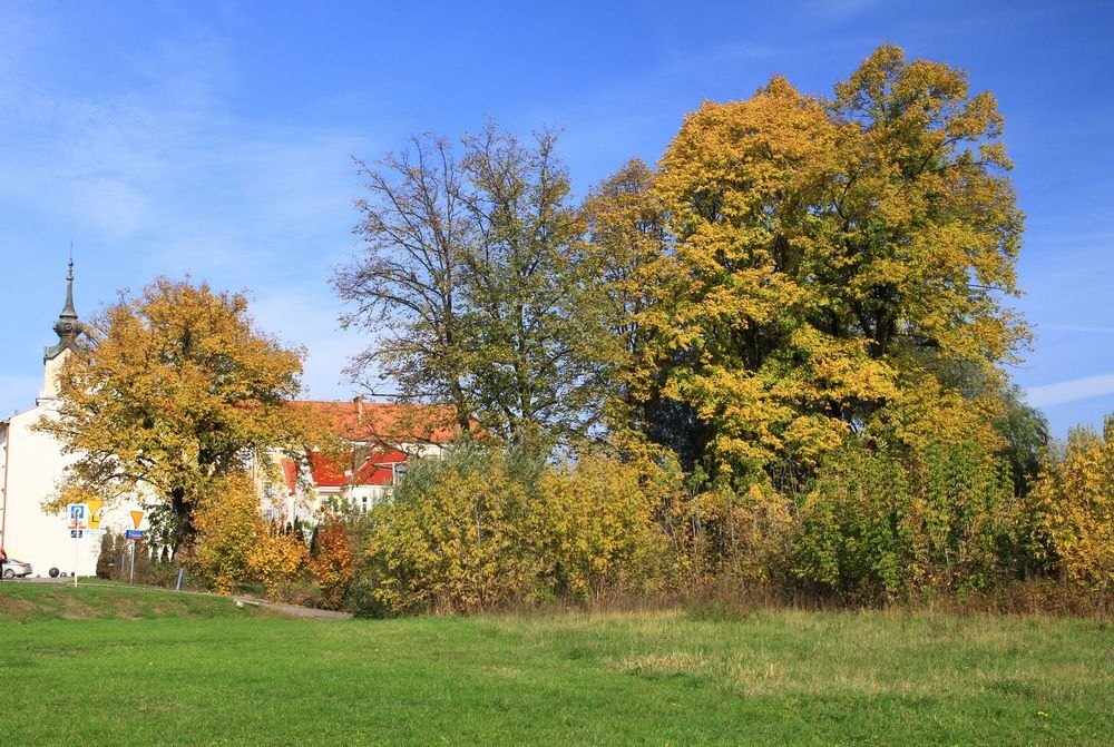 Jesień w Rzeszowie 