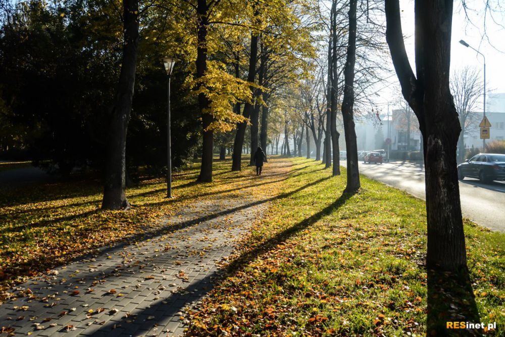 Barwy Jesieni. Spacer po Rzeszowie