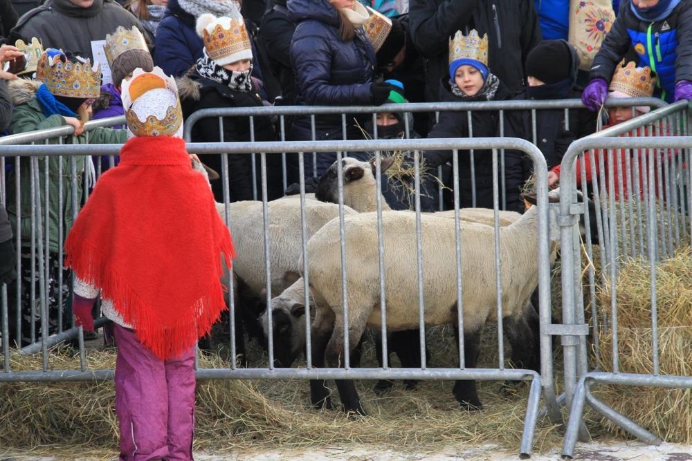 Orszak Trzech Króli 2017 rok Rzeszów