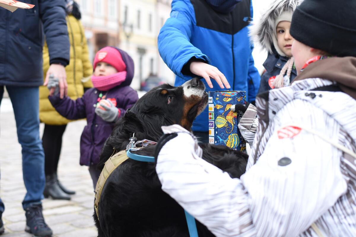 31. Finał WOŚP w Rzeszowie