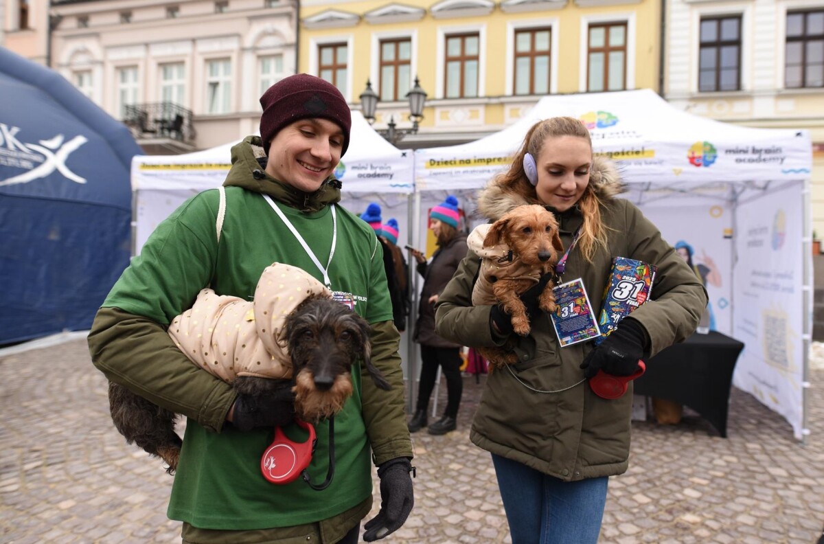 31. Finał WOŚP w Rzeszowie