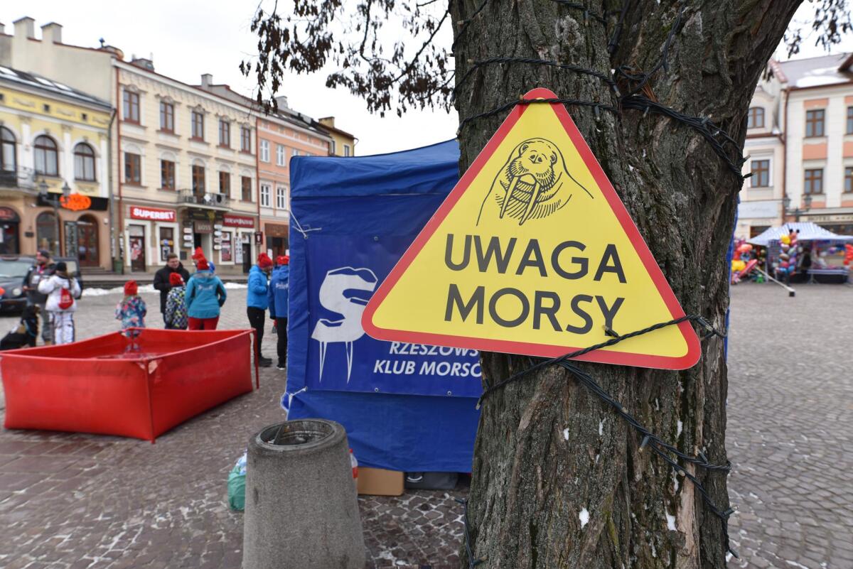 31. Finał WOŚP w Rzeszowie