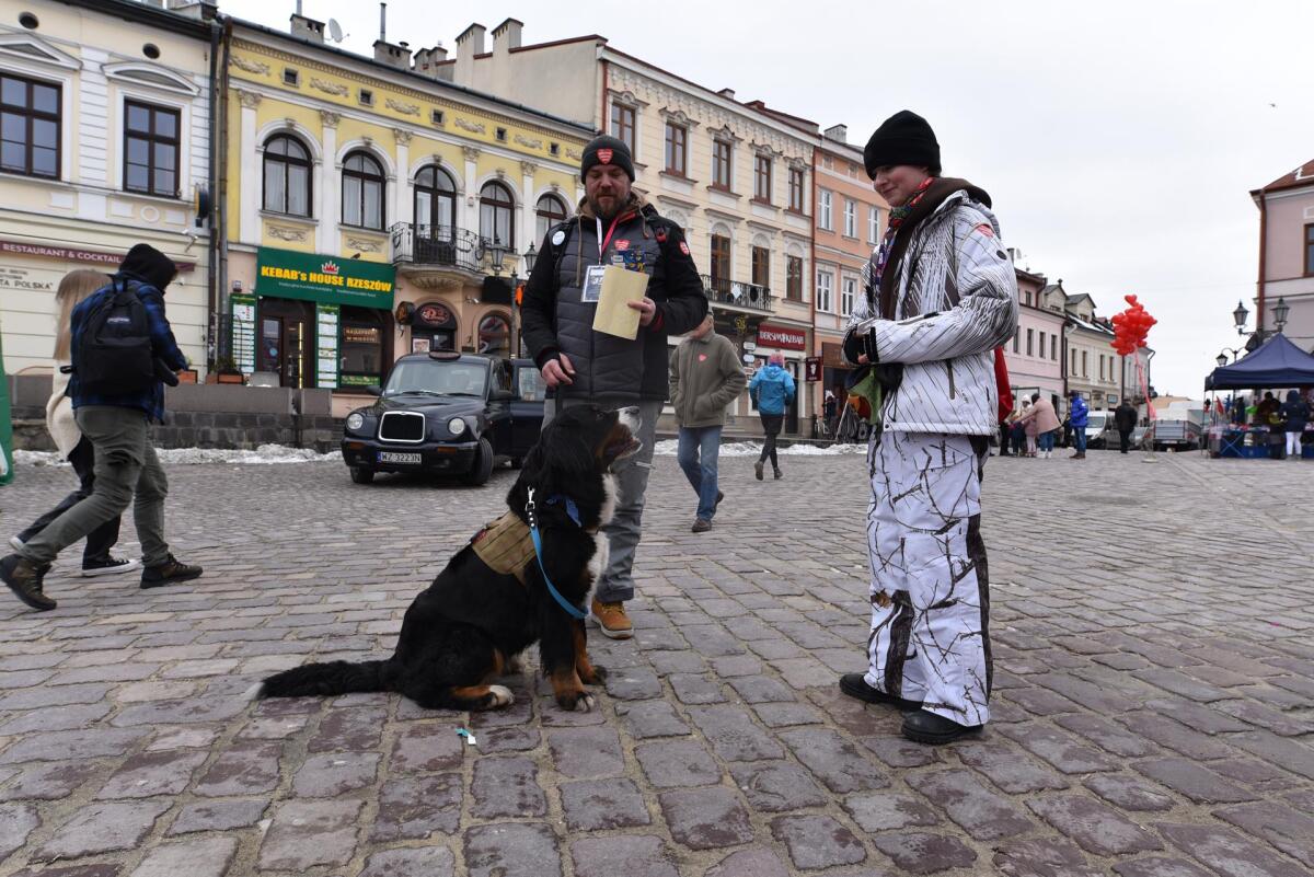31. Finał WOŚP w Rzeszowie