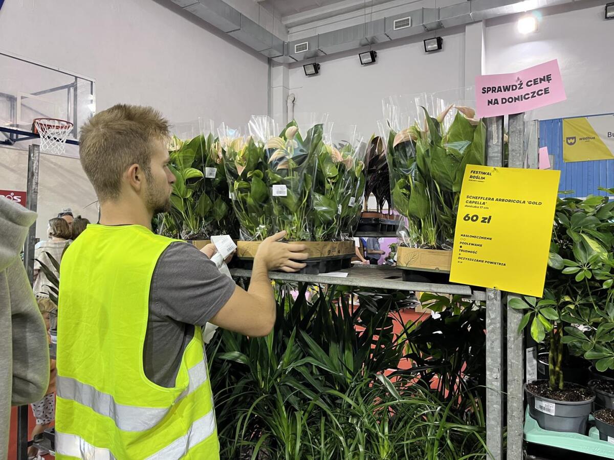 Festiwal Roślin w Rzeszowie