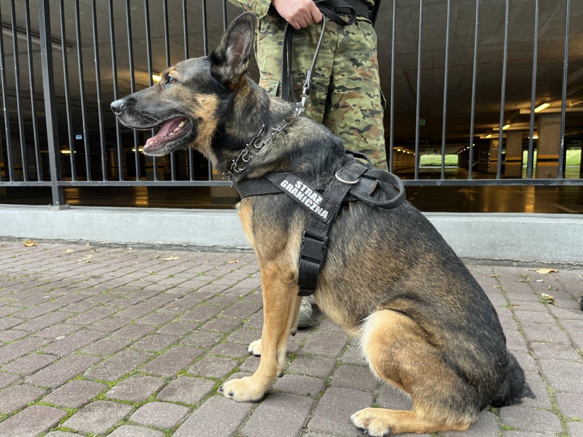 Święto Wojsk Obrony Terytorialnej w Rzeszowie