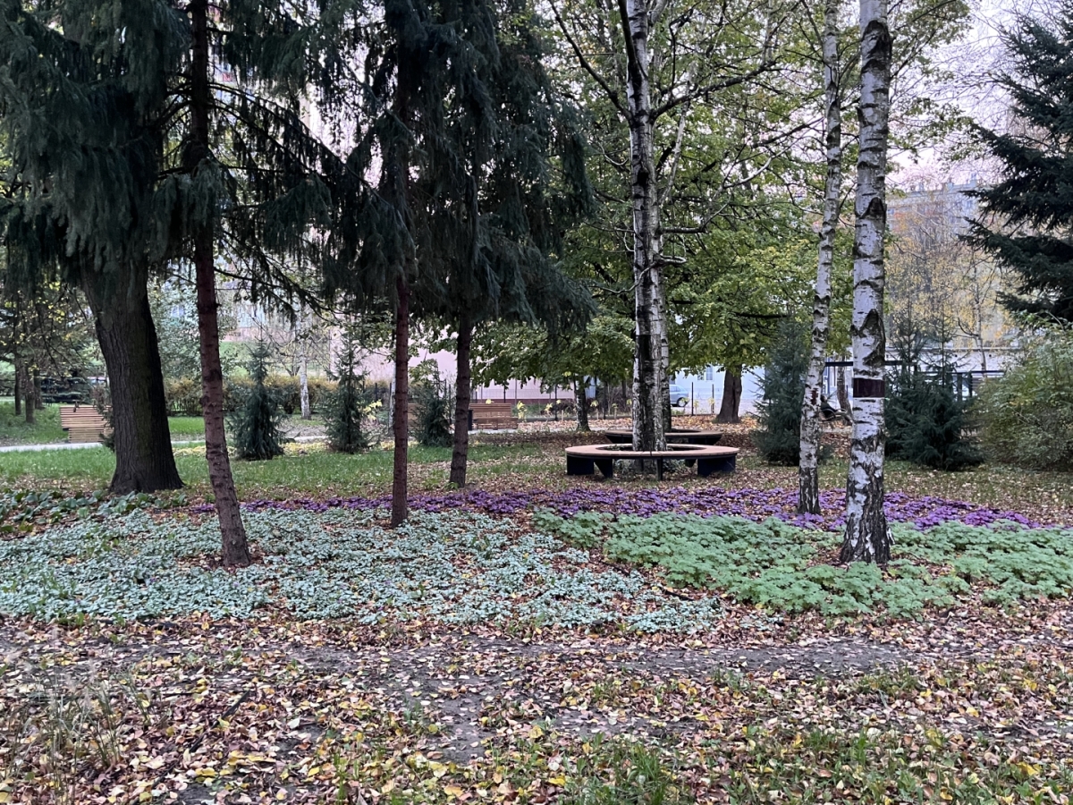 Park dla Seniora przy ul. Staszica w Rzeszowie