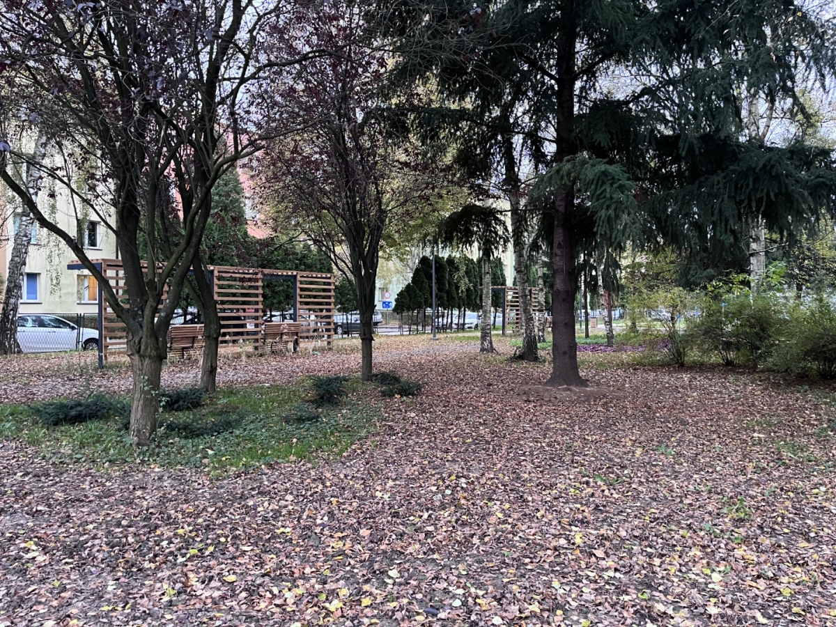 Park dla Seniora przy ul. Staszica w Rzeszowie