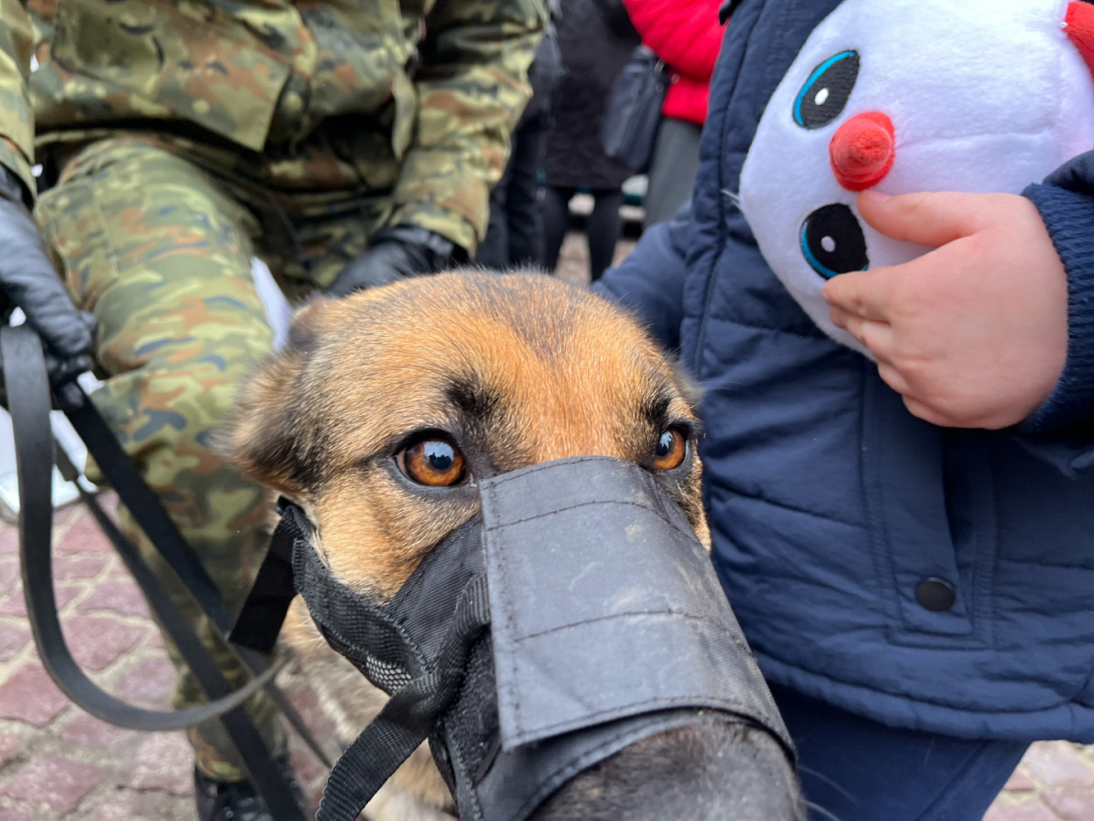 32. Finał WOŚP w Rzeszowie