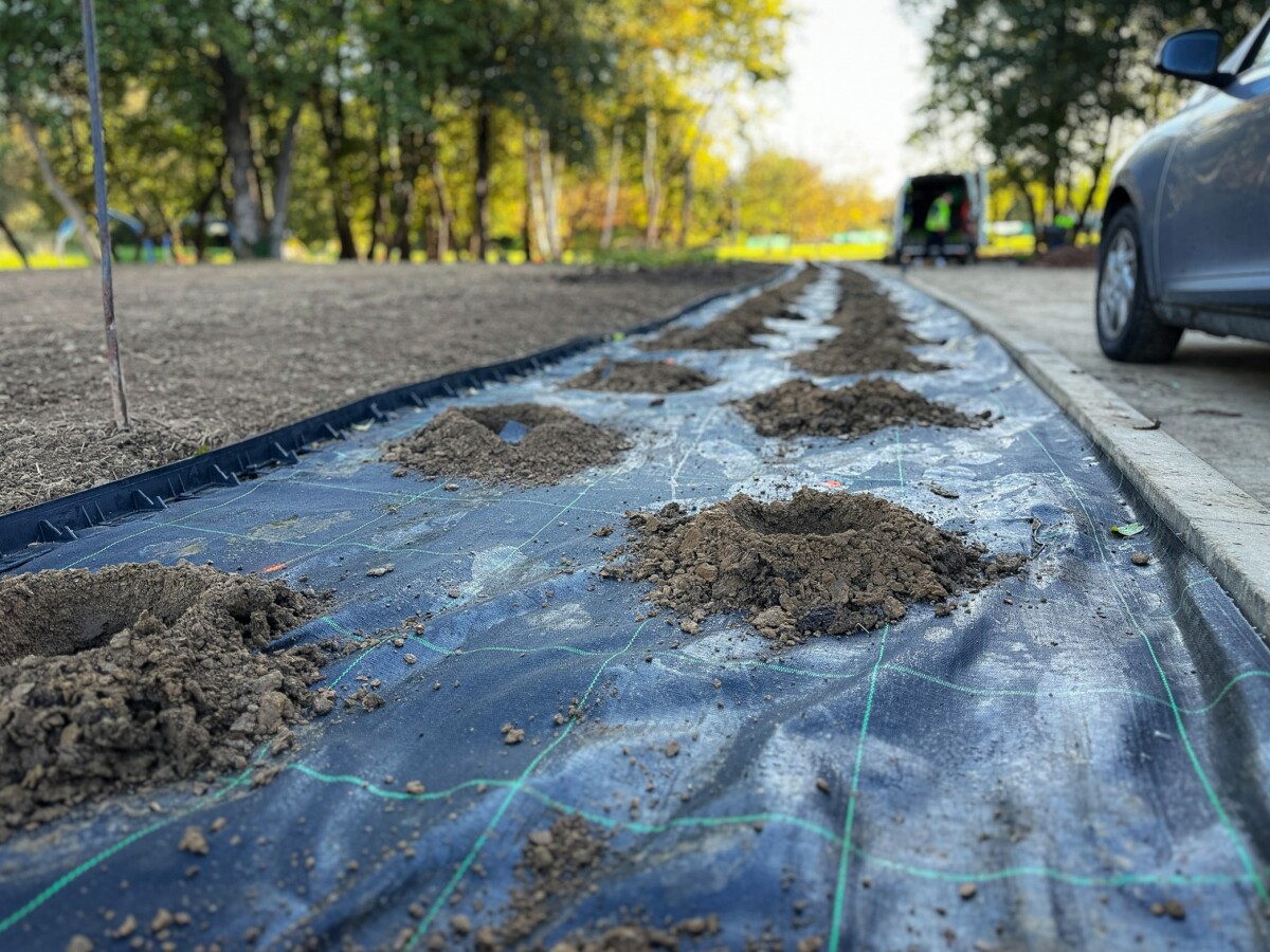 Rzeszów - Budowa ogrodu kieszonkowego w rejonie ul. Tarnowskiej na os. Baranówka [październik 2024]