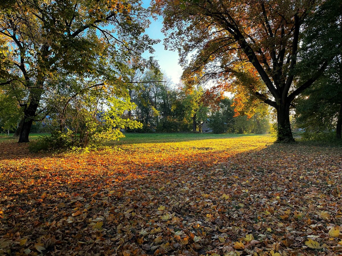 Barwy jesieni - Rzeszów, Przyroda