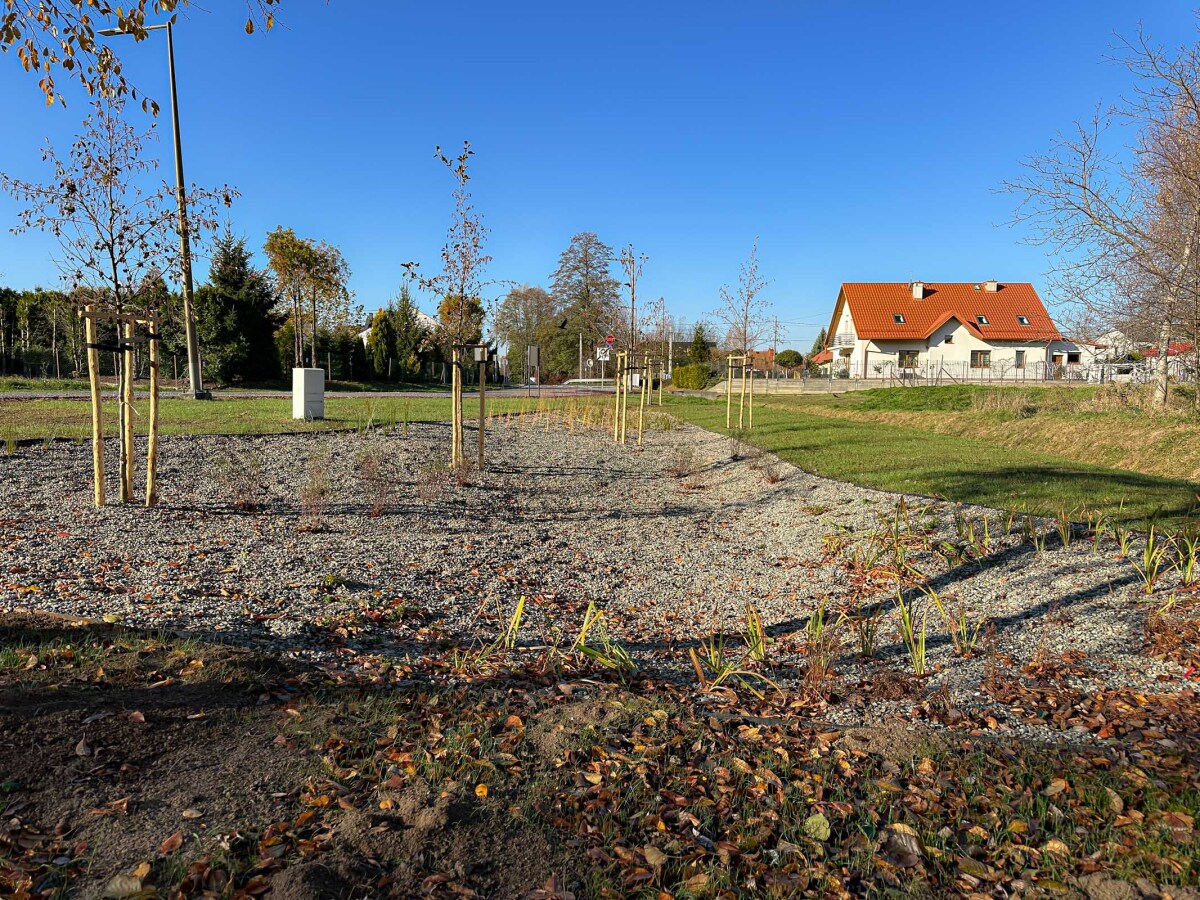 Rzeszów - Nowy ogród kieszonkowy w rejonie ul. Tarnowskiej [listopad 2024]