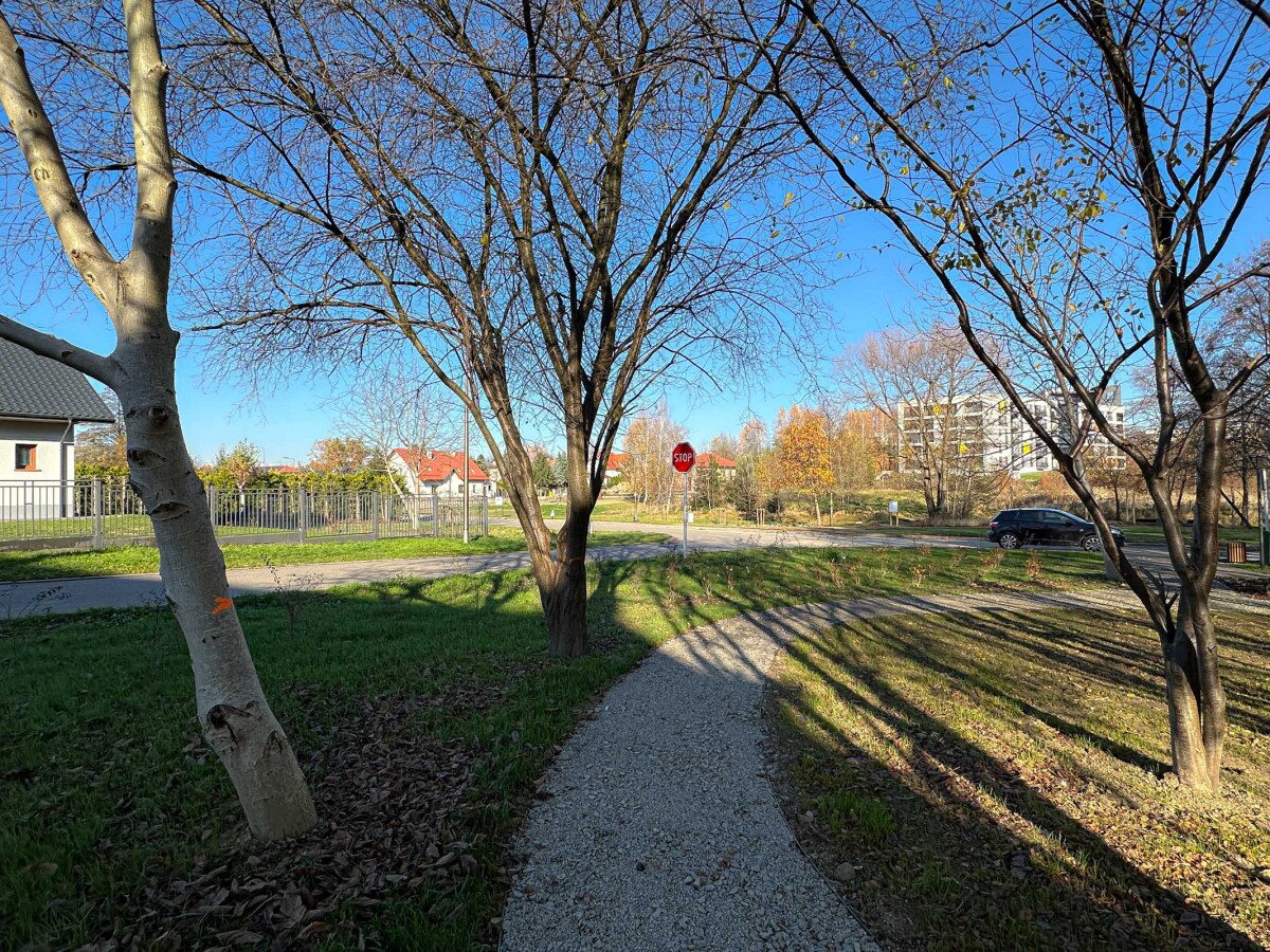 Rzeszów - Nowy ogród kieszonkowy w rejonie ul. Tarnowskiej [listopad 2024]