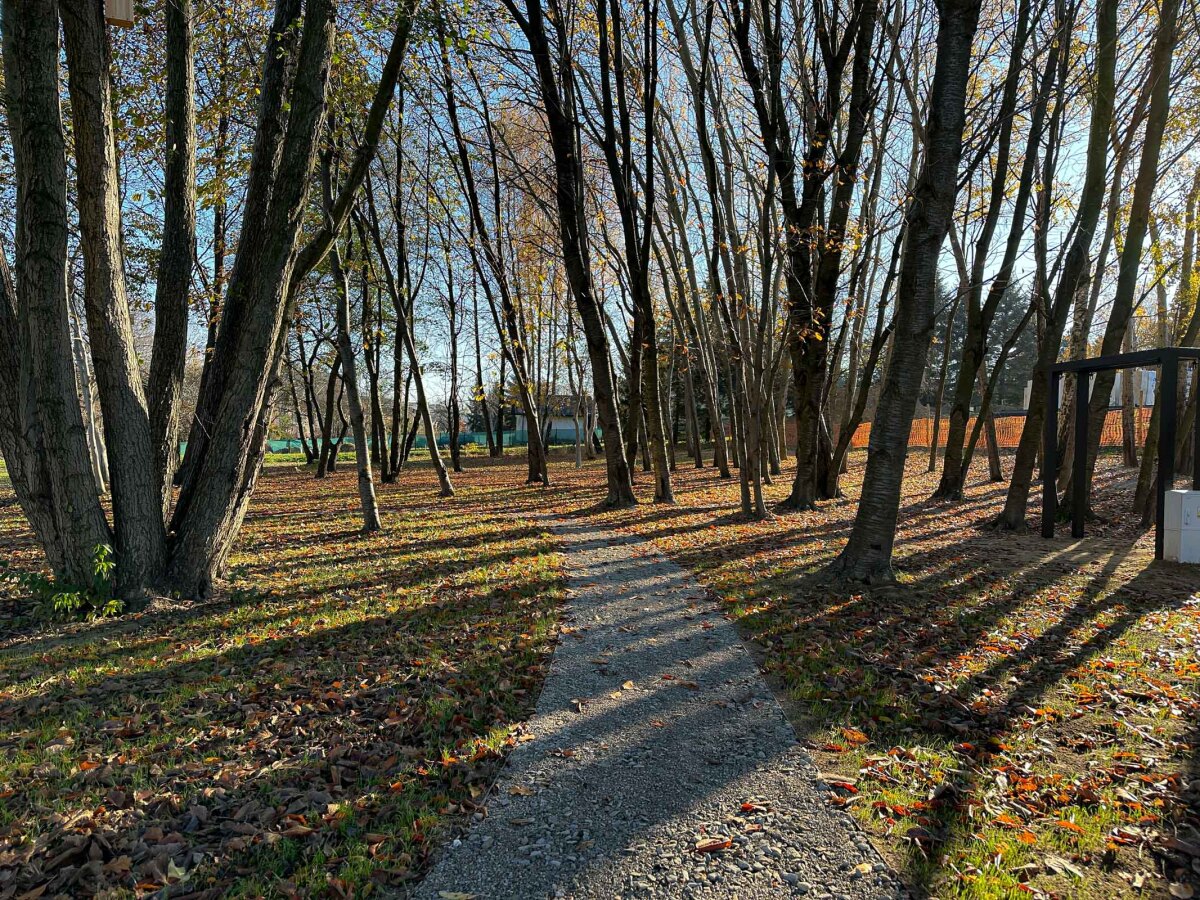 Rzeszów - Nowy ogród kieszonkowy w rejonie ul. Tarnowskiej [listopad 2024]