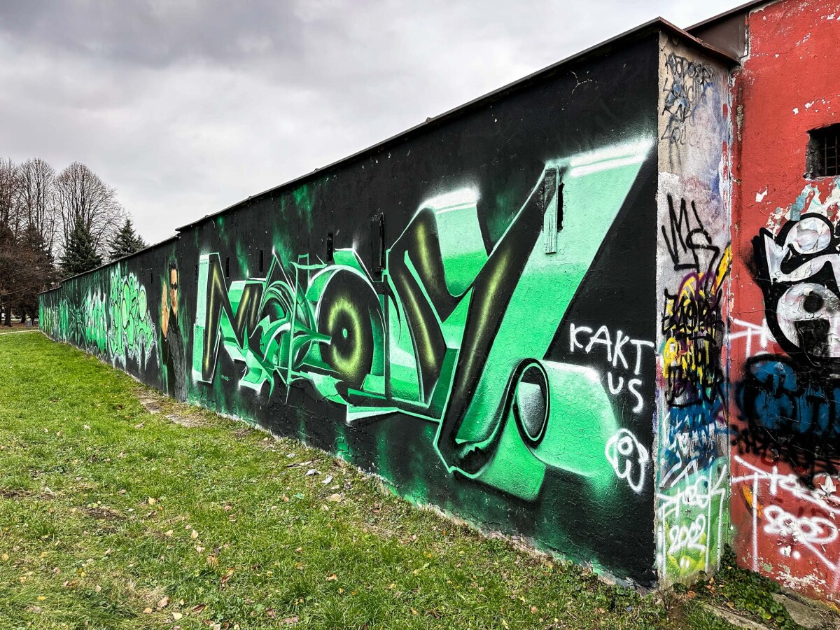 Rzeszów - Graffiti na garażach w Parku Zdrowia na osiedlu Kmity