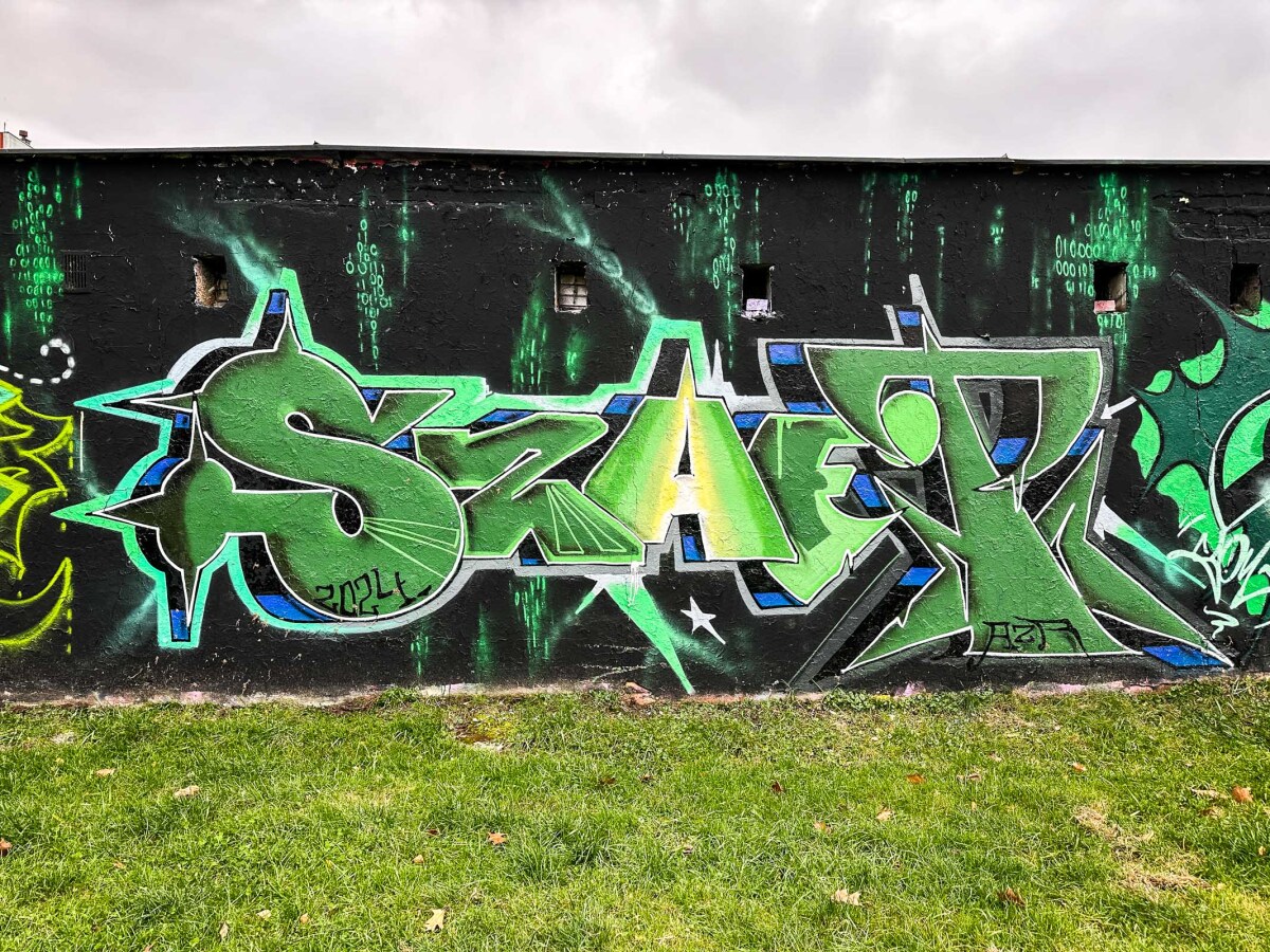 Rzeszów - Graffiti na garażach w Parku Zdrowia na osiedlu Kmity