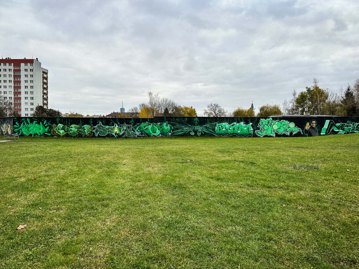 Rzeszów - Graffiti na garażach w Parku Zdrowia na osiedlu Kmity