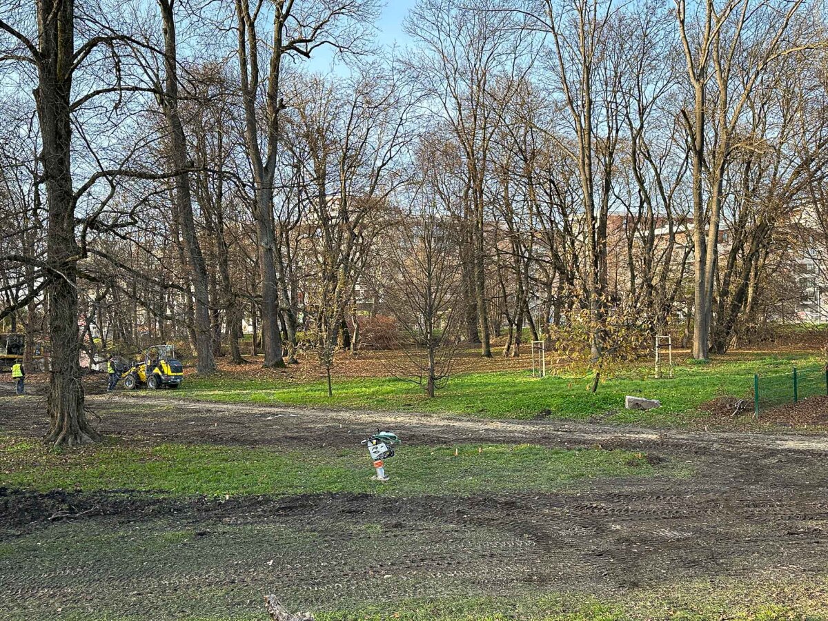 Rzeszów - Rewitalizacja parku na osiedlu Słocina [listopad 2024]