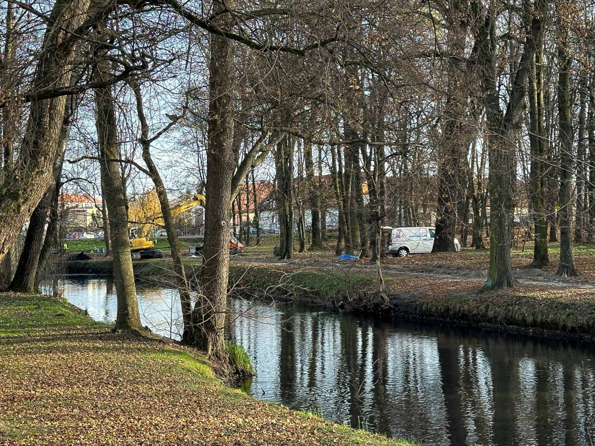 Rzeszów - Rewitalizacja parku na osiedlu Słocina [listopad 2024]